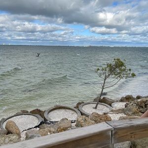 Meet your Posher, Georgia